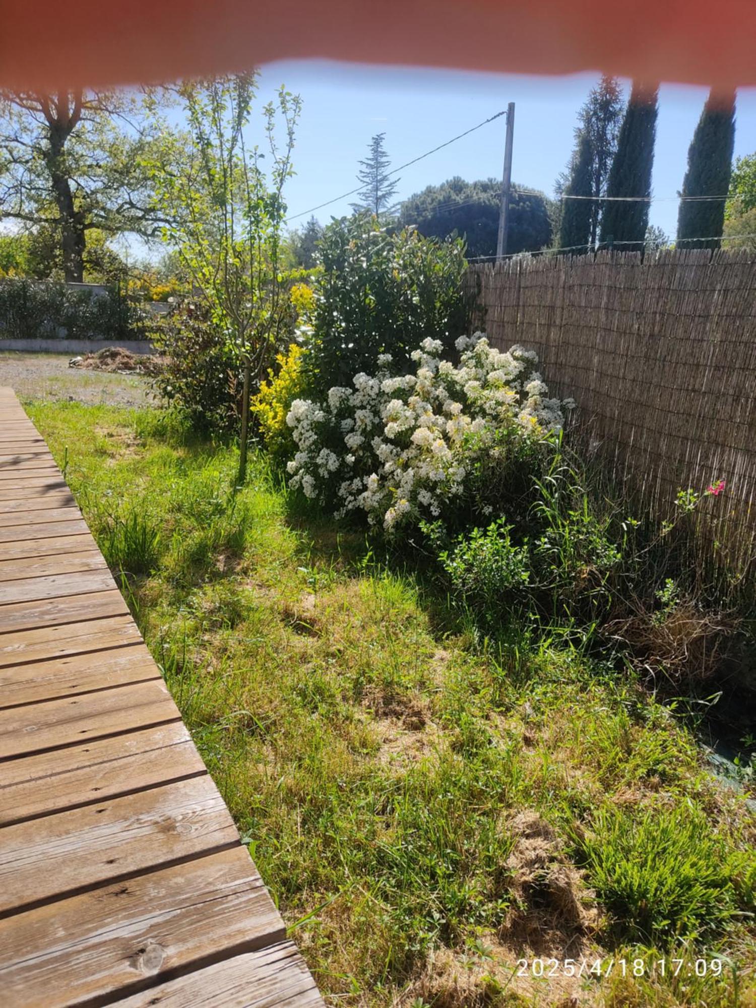 Chambre 20M2 Avec Salle De Bain Privee Dans Maison En Bois Lavaur  Exterior foto